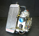 Rotax FR125 kart racing engine